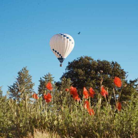 cheque cadeau pearl balloon