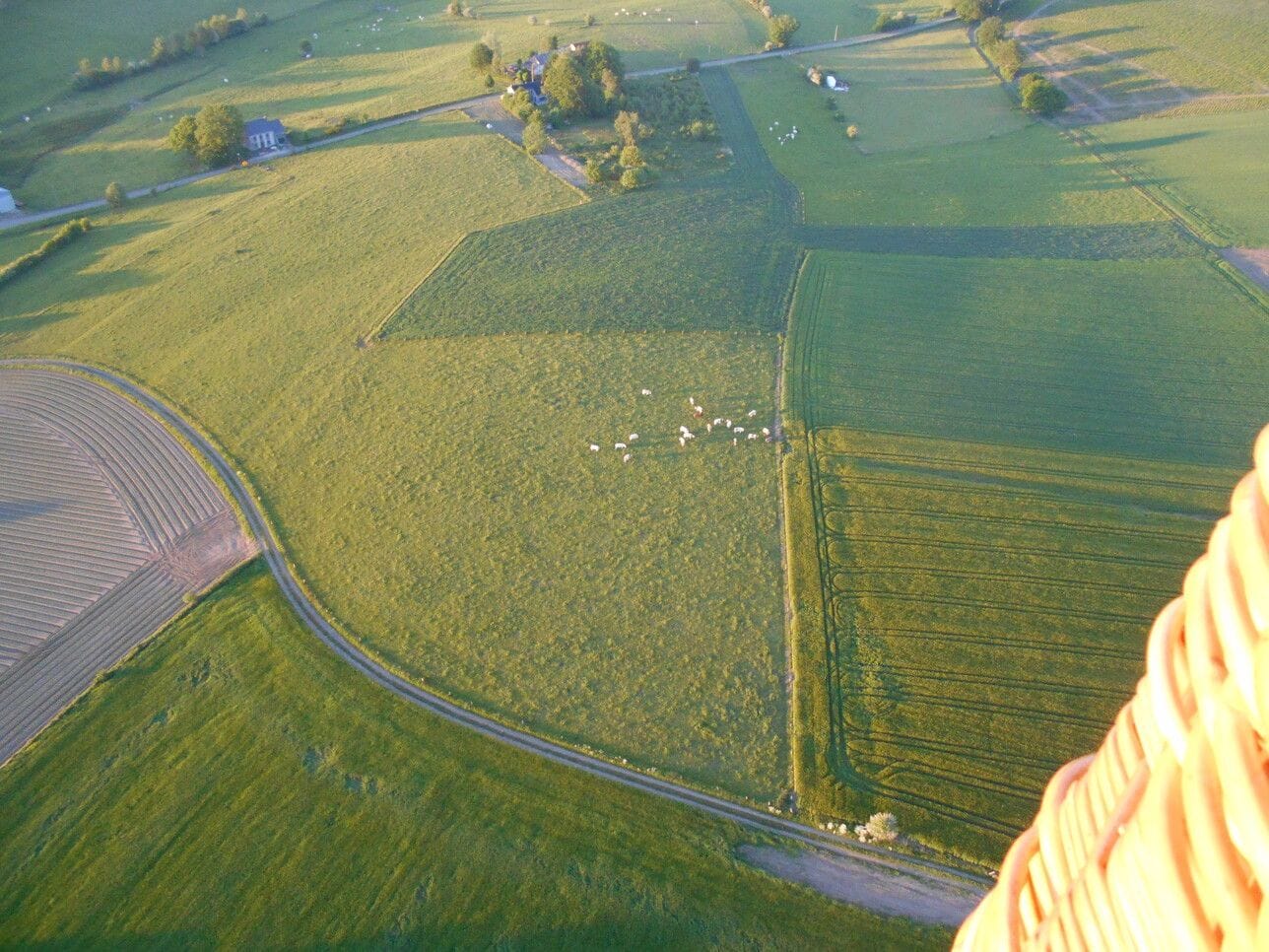 vol bastogne pearl balloon 43