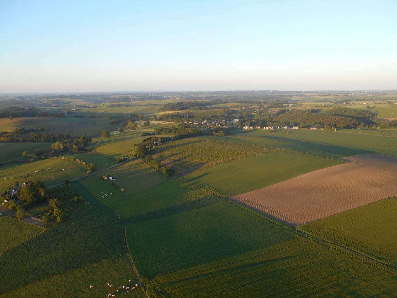 vol bastogne pearl balloon 44