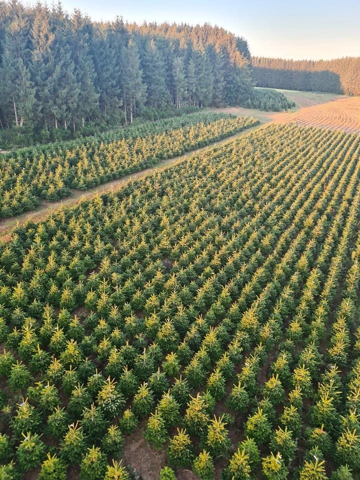 vol libramont neufchateau tenneville pearl balloon 10