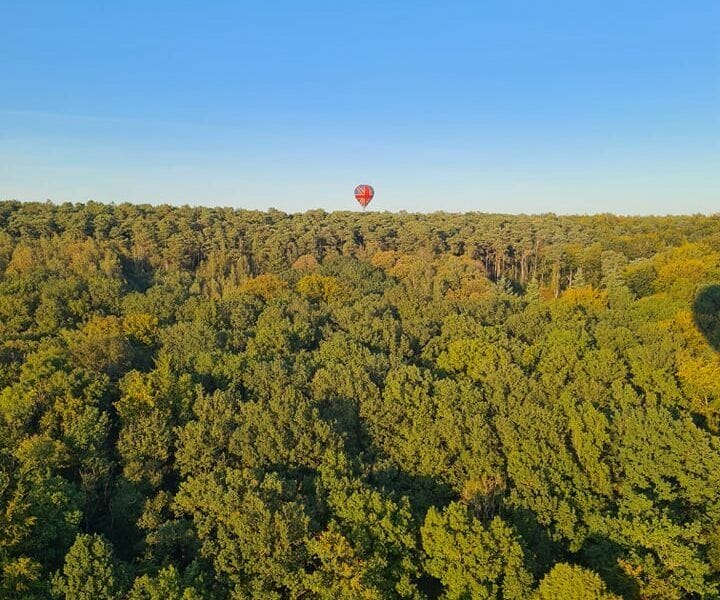 vol libramont neufchateau tenneville pearl balloon 6